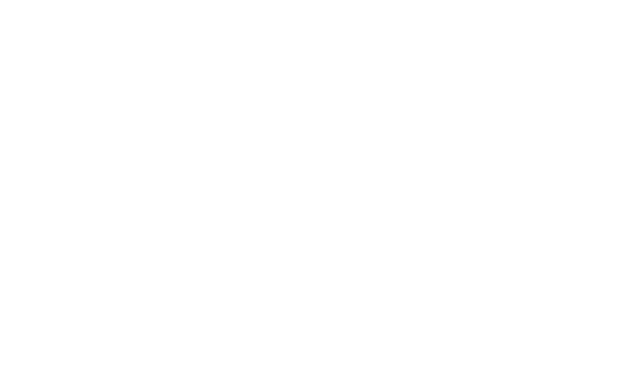 Wikifacial logo white