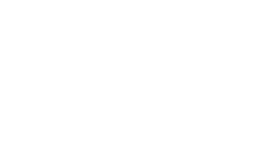 Wikifacial logo white